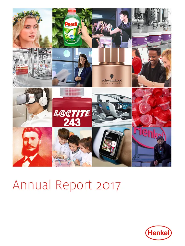 Reporte Anual 2017 (Capa)